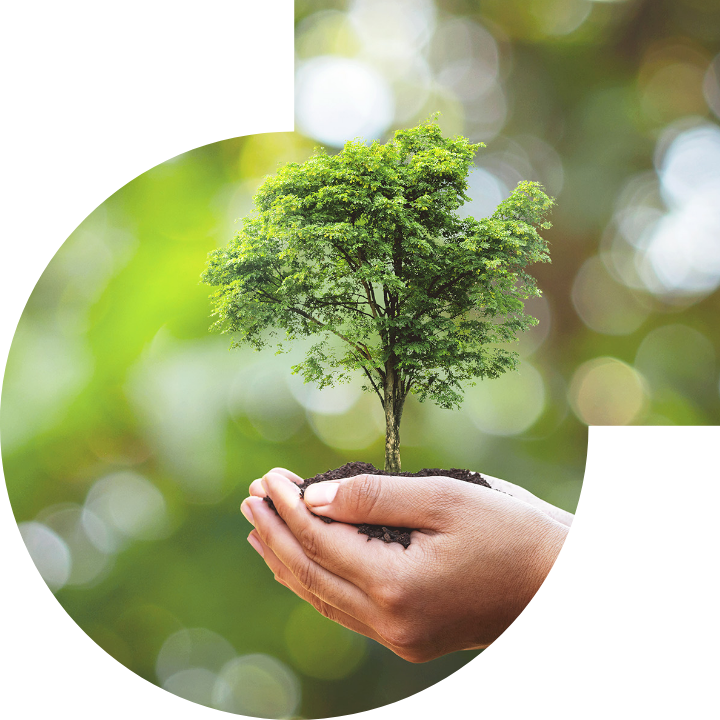 關懷人類、文化、環境與社會