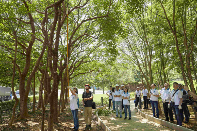 藝師教導大家認識樹木、檢查樹的健康狀況，學習修枝及碎枝覆土
